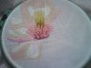 DSC01065.thumb.JPG.50900aacb5dc81abd516eb375f32ff74.JPG