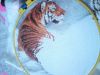 DSC01382.thumb.JPG.ed4d5c73df6c0976c0b18fe619e21c2f.JPG