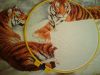 DSC01494.thumb.JPG.40eb8a7c5343bf55832b293c27e5236d.JPG