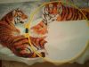 DSC01509.thumb.JPG.45cec3394852418ef917f1a6462be471.JPG