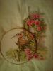 DSC01531.thumb.JPG.427055a781f5906333ab4d7200b45509.JPG