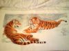 DSC01665.thumb.JPG.9c3056def8818b261ac49b41a0792b3a.JPG