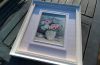 DSCN1866.thumb.JPG.a3ff0eb69edb614ab38b4765c079418a.JPG