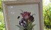 DSCN2051.thumb.JPG.59be87b49edf4be03d11c40c3a83b649.JPG