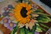 DSC_0862.thumb.JPG.be9349b47e1981bb670c9865f7dbf72b.JPG