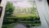 DSC_2433.thumb.JPG.3b657b04f89e46fd0b34566002582788.JPG
