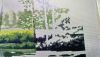 DSC_2442.thumb.JPG.c785123e2dbeb41a441e68a6e6399291.JPG