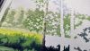 DSC_2443.thumb.JPG.e0398b94b4c62c0bf2d78b1489d2f166.JPG