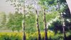 DSC_2458.thumb.JPG.df5c1f3c9ff5f3e0a7372d258dc01df0.JPG