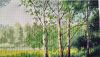 DSC_2504.thumb.JPG.90850965eea30abab2f579633aa52e74.JPG