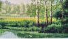 DSC_2506.thumb.JPG.31519cd38553f8437a89b546dda11b8e.JPG