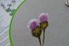 DSC_3245.thumb.JPG.7caf323aa78c6d2562d4bd57d2cee49c.JPG
