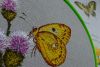 DSC_3264.thumb.JPG.13126b2173b6ce5a9e4e872696176919.JPG