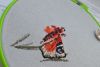 DSC_3282.thumb.JPG.64862161fc3caefdb956df2c4e2cf8cd.JPG