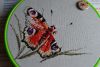 DSC_3291.thumb.JPG.bf9ac4f2c4644404e316c08ed24d4cca.JPG