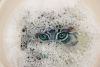 DSC_3798.thumb.jpg.7b35573c99ffd521e06b6e243845f297.jpg