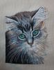 DSC_3802.thumb.jpg.1bd236d433e08eedbeabface9a45f0da.jpg