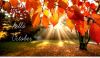 Hello-october-hd-wallpapers.thumb.jpg.bd80494d09438bf3cf578ec6fda03110.jpg
