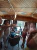 IMG-20190831-WA0170.thumb.jpg.cd55bd0f01000891471dd4539a4ca349.jpg