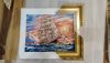 IMG-20191014-WA0006.thumb.jpg.92b0d91f5b88d0cf2ee6f5ab35f8dc30.jpg