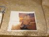 IMG-20191021-WA0014.thumb.jpg.022ce61cec074535cc5538eb95461d19.jpg