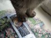 IMG_20190804_075853.thumb.jpg.417fec4c9c734524b1cee9241a1985fe.jpg