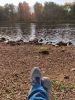 IMG_20190907_161622.thumb.jpg.e366eb76c1153e611f8dae0e68abb514.jpg