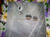 IMG_20190915_225926.thumb.jpg.56613d9ea2e553fdb2a82a7313318517.jpg