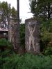 IMG_20190923_113937.thumb.jpg.e893dee168a92f11485507d9006c5f76.jpg