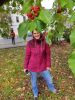 IMG_20190923_122132.thumb.jpg.2c74062a944c01586d7689d2bf39e9bf.jpg