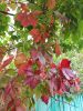 IMG_20190923_122741.thumb.jpg.f2128c53ee267647e25826b3cf746e2f.jpg
