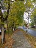IMG_20190923_123133.thumb.jpg.f0099779ed10d71834aafb2de9be4a17.jpg