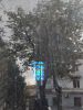IMG_20190923_172758.thumb.jpg.2731786db0b06a28855b6dced1a9d82d.jpg