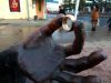IMG_20190923_173958.thumb.jpg.c9d0eefd38a49339cfc34ab7dc9c1517.jpg