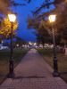 IMG_20190923_182901.thumb.jpg.bc029f47db46d8d274bfabc0a98bc5a5.jpg