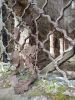 IMG_20190924_143500.thumb.jpg.ff8c305062736cc7363e73feedcb0df7.jpg