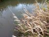 IMG_20190924_155617.thumb.jpg.a96eafaa278ae5ad03f80d9690a2e27f.jpg