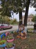 IMG_20190925_121030.thumb.jpg.8440be41a6bd551923c94456efa56f6e.jpg