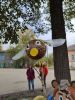 IMG_20190925_121038.thumb.jpg.625616790e1fadc6c62d688a1cbb254d.jpg