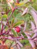 IMG_20190925_121849.thumb.jpg.d82bb453ac9855c62f334ce4b99b3e2d.jpg