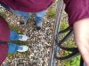 IMG_20190925_145346.thumb.jpg.75f068bd01dda8f7d6cc06500224ac1a.jpg