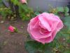 IMG_20190926_141456.jpg