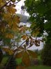 IMG_20190926_141749.jpg