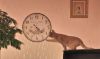 IMG_20190926_211741.thumb.jpg.b450c4120008b5c2ea610b3301172c27.jpg