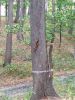IMG_20190927_124920.thumb.jpg.abbedc511c581e6dcc026f64b076c9d0.jpg