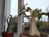 IMG_20191001_100047.jpg