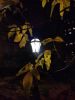 IMG_20191003_213614.thumb.jpg.c6a5b7300cc81525ba157c658ab7fcda.jpg
