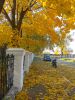 IMG_20191004_125142.thumb.jpg.f177310fb19e9c9a6032f3ec167bc4c1.jpg