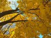 IMG_20191004_125146.thumb.jpg.809b01f8496cf4f45f34628196f78e69.jpg