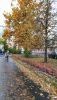 IMG_20191005_092714.thumb.jpg.f264627ebeafa45b677ae914cbcab05d.jpg